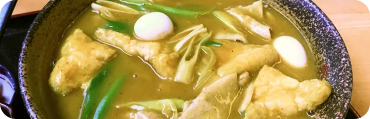 豊橋カレーうどん