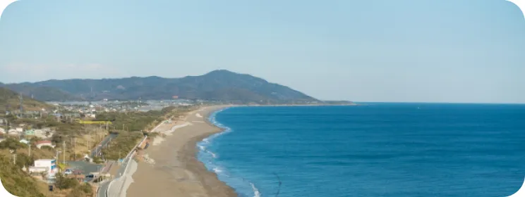 表浜海岸の様子